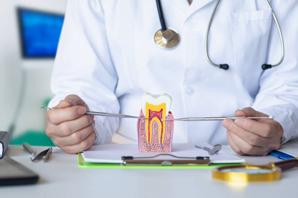 Best Dentist for Severe Toothache  in Amelia, OH